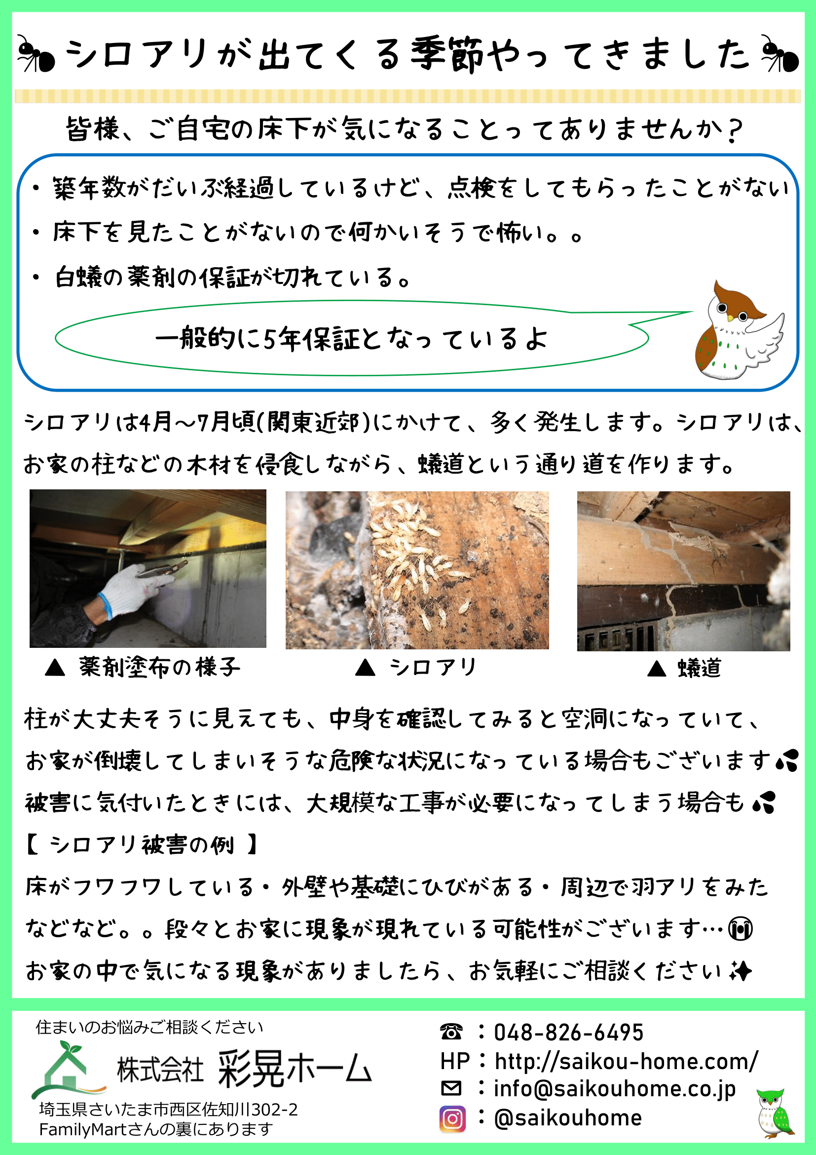 彩晃ニュース 2023年3月号①