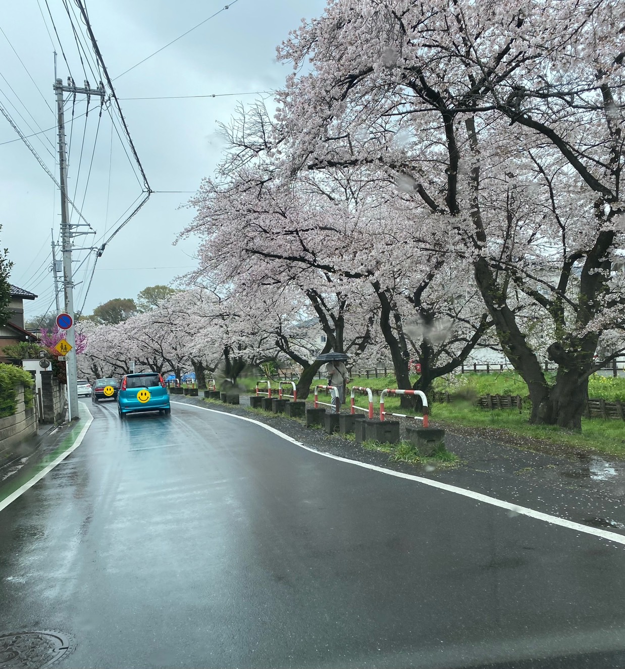 川越市の現場帰りに🌸